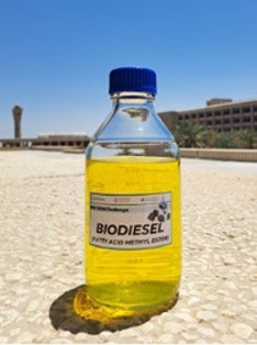 Biodiesel Product